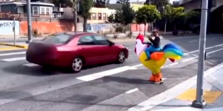 Watch out for the chicken! Disguised cop catches offending drivers