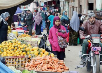 What is the truth about screening ration cards in Egypt? | Economy
