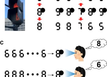 What numbers do you see? A new bistable perceptual phenomenon on symbolic numbers