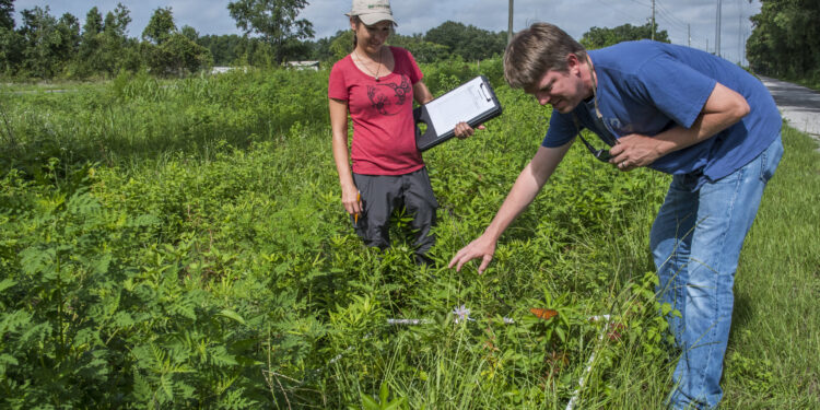 What’s good for pollinators is also good for utility companies