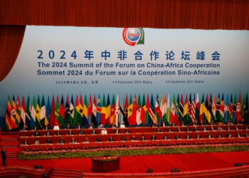 Will Chinese panda bonds solve Africa’s debt problems? | economy