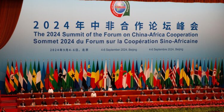 Will Chinese panda bonds solve Africa’s debt problems? | economy