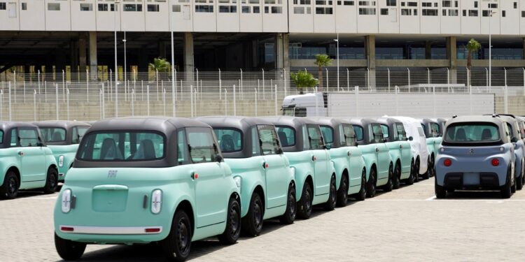 Will Morocco’s Bet on Electric Cars Succeed? | Economy