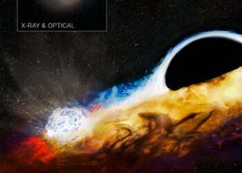 A black hole destroys a star and attacks another