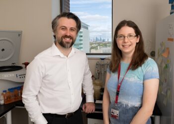 A promising phage cocktail against drug-resistant bacteria