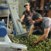 A source of livelihood for thousands of Palestinians.. Closing “Al Karama” hinders the export of olive oil | economy