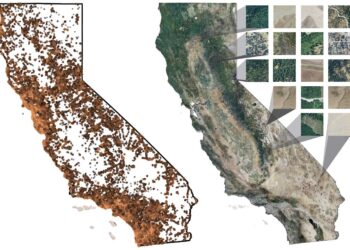AI allows iNaturalist to map California plants with unprecedented precision