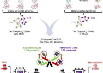 AI models help redefine the core microbiome for personalized therapies