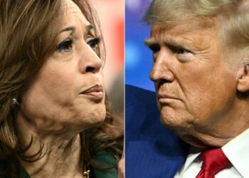 Abortion, immigration, economy: the five major issues of the American presidential campaign