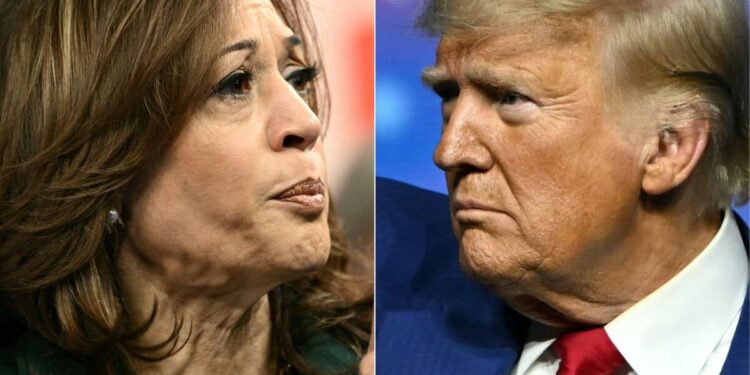Abortion, immigration, economy: the five major issues of the American presidential campaign