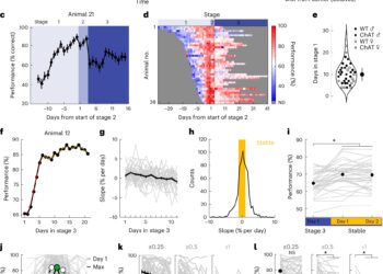 Adding Vagus Nerve Stimulation to Training Sessions May Improve Sound Perception