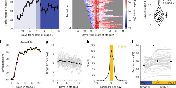 Adding Vagus Nerve Stimulation to Training Sessions May Improve Sound Perception