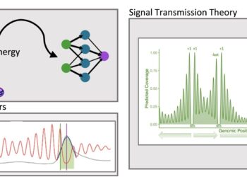 Advanced model predicts gene architecture via nucleosome position