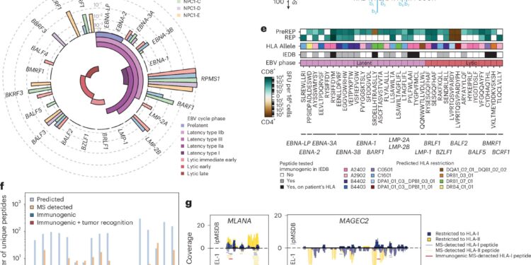 An AI-powered pipeline for personalized cancer vaccines