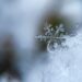 Analysis of dancing snowflakes could improve rain forecasts