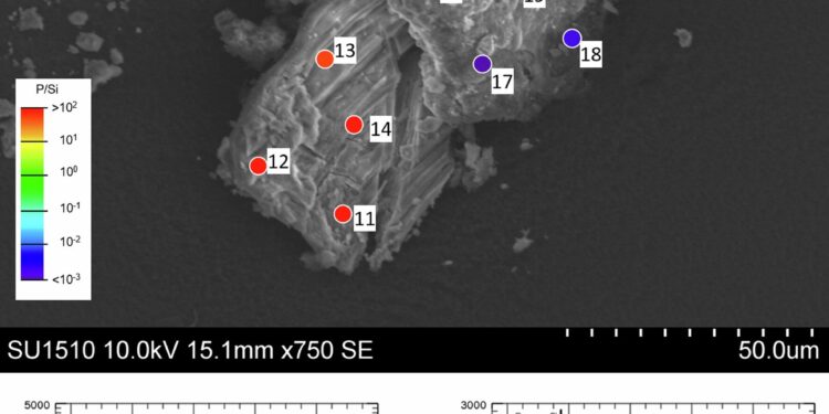 Analyzes of Ryugu samples show asteroids may have delivered compounds needed for the start of life on Earth