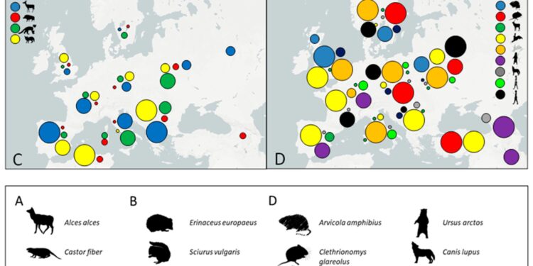 Ancient humans were so good at surviving the last ice age that they didn’t need to migrate like other species