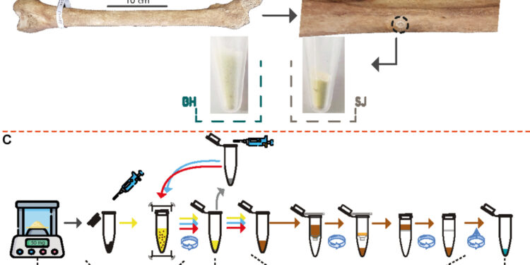 Archaeologists use metabolites in bones to identify smokers from centuries ago