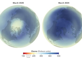 Arctic ozone reaches record level, a positive measure for the climate