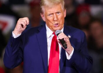 Arnold Palmer’s genitals and other vulgar remarks: electoral strategy or impulsive statements?