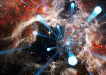 Astronomers discover dozens of massive stars launched from young star cluster R136