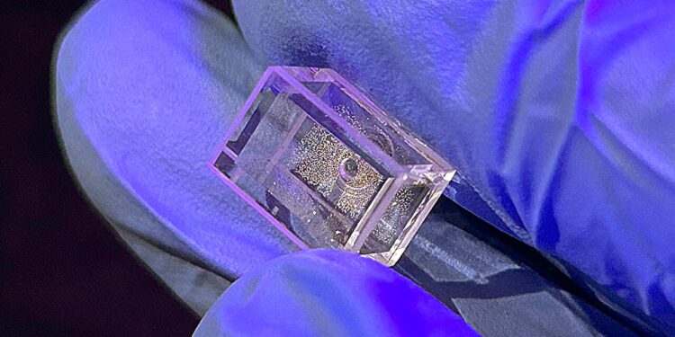 Atomic sensors reveal hidden dynamics of molecular polarization