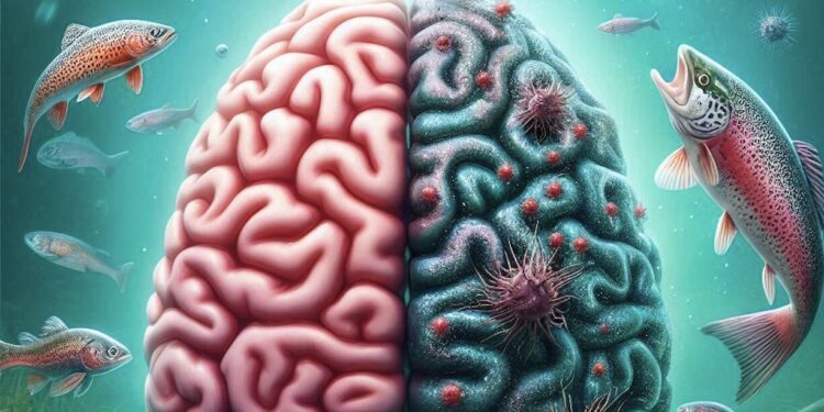 Bacteria discovered in healthy vertebrate brains suggest potential role in brain function