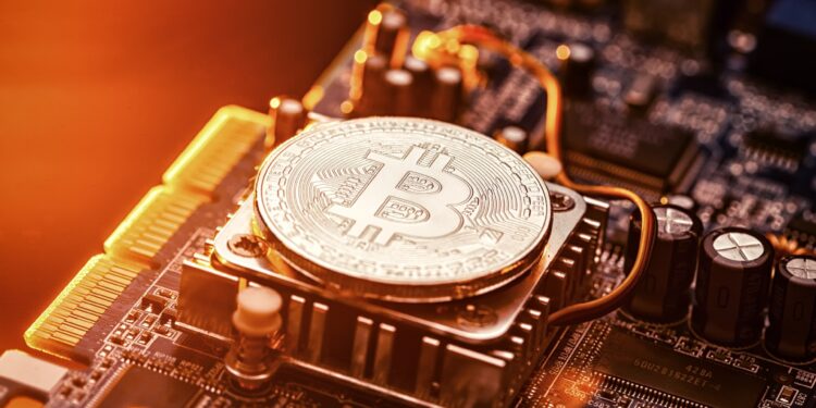 Betting on Trump winning the US elections raises Bitcoin economy