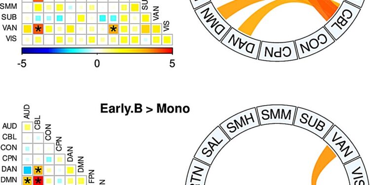 Bilingualism can make the brain more efficient, especially when learned at a young age