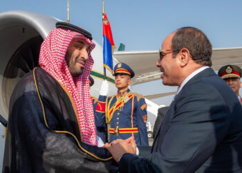 Bin Salman in Cairo to discuss investment and regional crises Economy News
