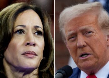 Bloomberg: The American economy will not be affected whether Trump or Harris wins Economy News
