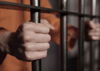 Charged after tying up his dog during Hurricane “Milton”