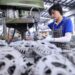 China faces structural challenges despite temporary stimulus measures economy