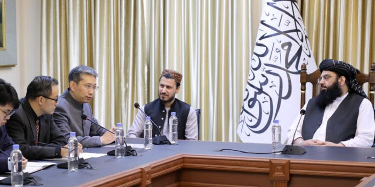 China offers Afghanistan tariff-free trade Economy News