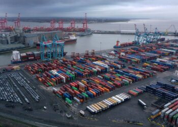 Chinese exporters in the face of the US elections…concerns and proactive decisions economy