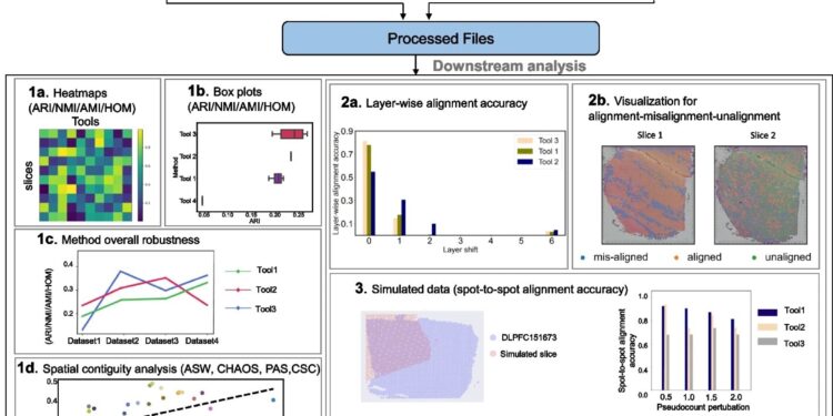 Comparative study aims to help scientists analyze spatial transcriptomics data