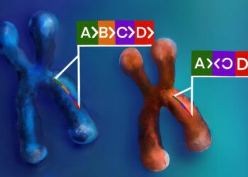 Complex genomic variants linked to psychiatric illnesses, study finds