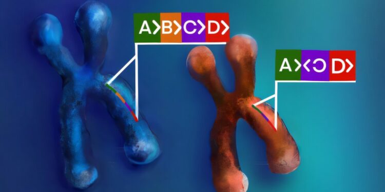 Complex genomic variants linked to psychiatric illnesses, study finds