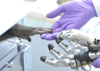 Control prosthetic hands more precisely with the power of thought