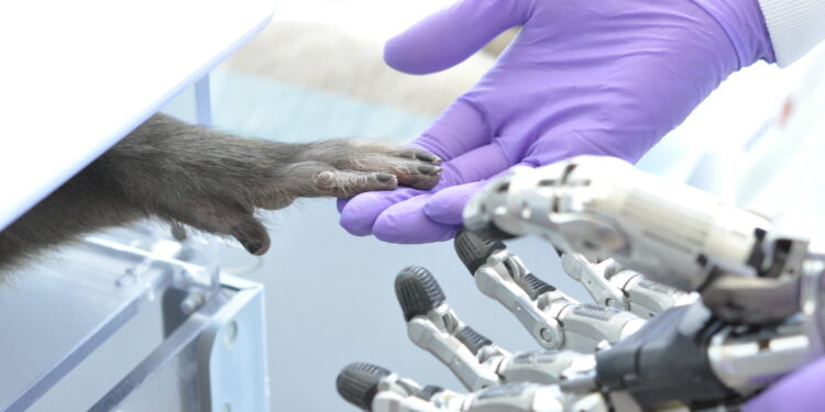 Control prosthetic hands more precisely with the power of thought