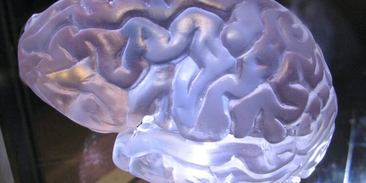 Deep brain stimulation shows immediate improvement in arm and hand function after brain injury, study finds