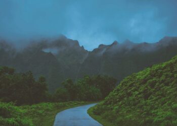 Deep learning sheds light on past and future atmospheric blocking events