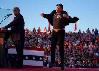 Does Elon Musk’s financial pitch to American voters face legal issues? | Economy News