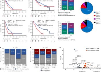 Dual immunotherapy and chemotherapy prove beneficial for specific subgroup of lung cancer patients
