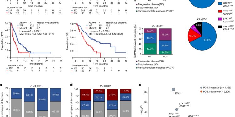 Dual immunotherapy and chemotherapy prove beneficial for specific subgroup of lung cancer patients