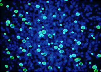 Environmental microbes caused more methane emissions than fossil fuels between 2020 and 2022, analysis finds