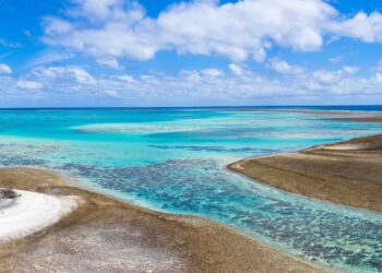 Environmental protection accounts for around 10% of fish stocks on coral reefs, global study finds