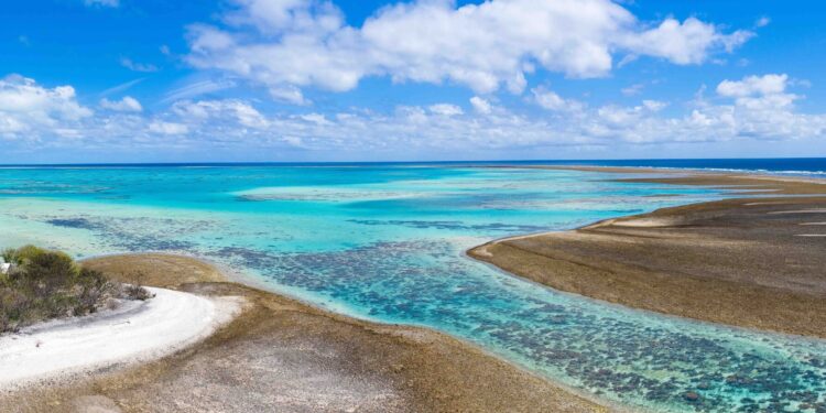 Environmental protection accounts for around 10% of fish stocks on coral reefs, global study finds