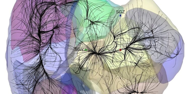 Everything that glitters is plastic; the diversity of trees awakened; the gravitational basin in which we live