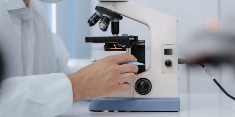 Expansion technique to image nanoscale structures inside cells makes high-resolution imaging more accessible